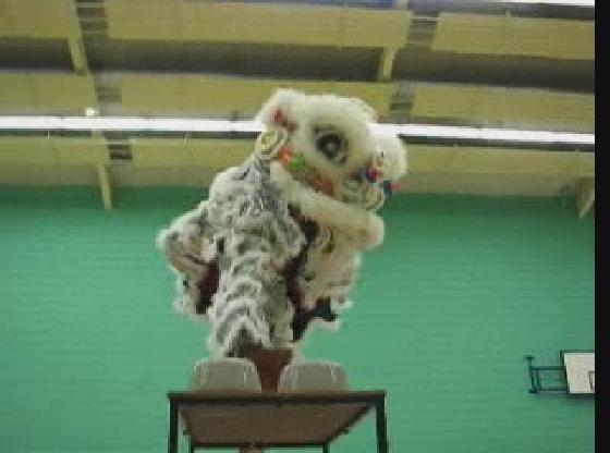 Lion Dance