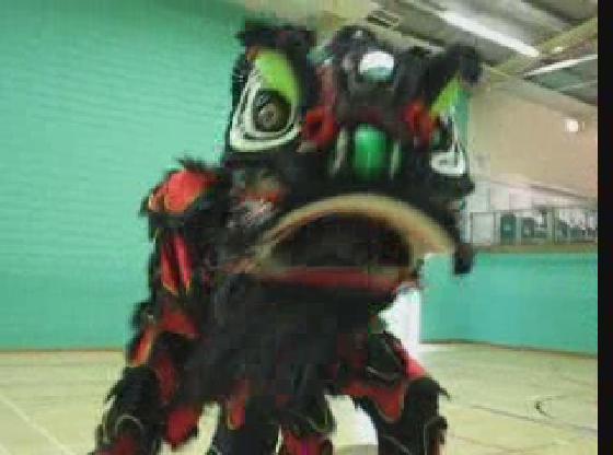 Lion Dance