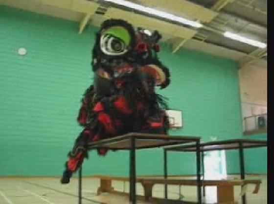 Lion Dance