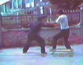 Wahnam Taijiquan