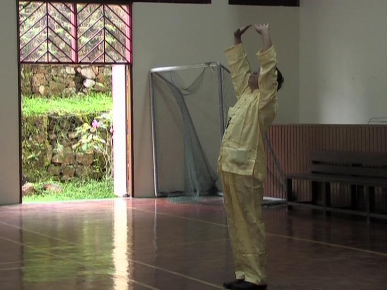 Chi Kung Qigong