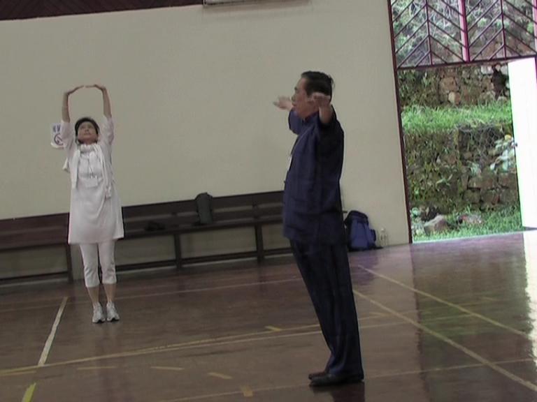 Chi Kung Qigong