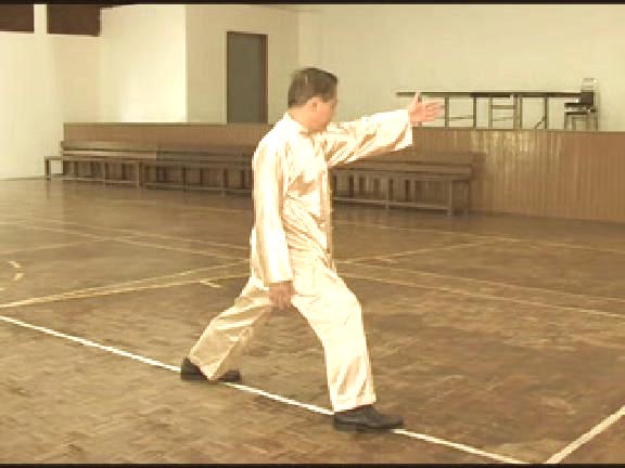 Shaolin Kungfu