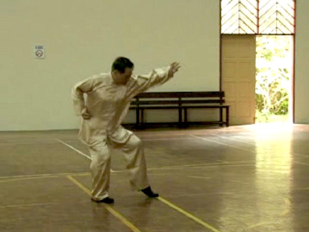 Shaolin Kungfu