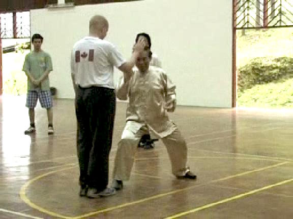 Shaolin Kungfu