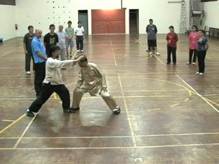 Shaolin Kungfu