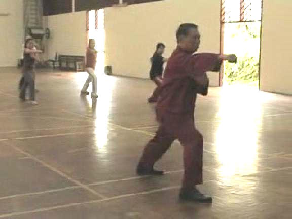 Shaolin Kungfu