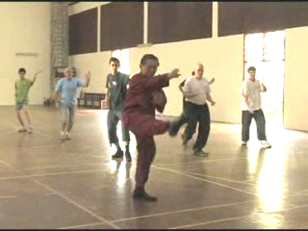 Shaolin Kungfu