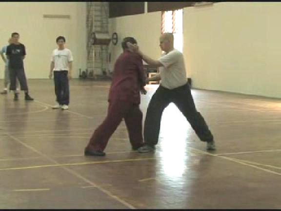 Shaolin Kungfu