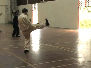 Shaolin Kungfu