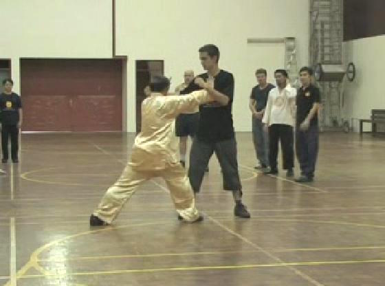 Shaolin Kungfu