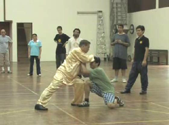 Shaolin Kungfu