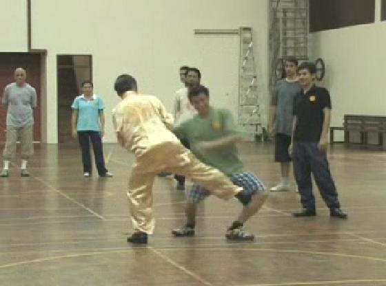 Shaolin Kungfu