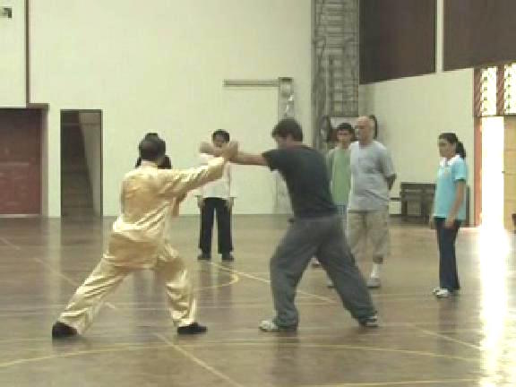 Shaolin Kungfu