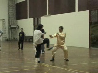 Shaolin Kungfu