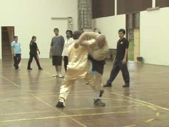 Shaolin Kungfu