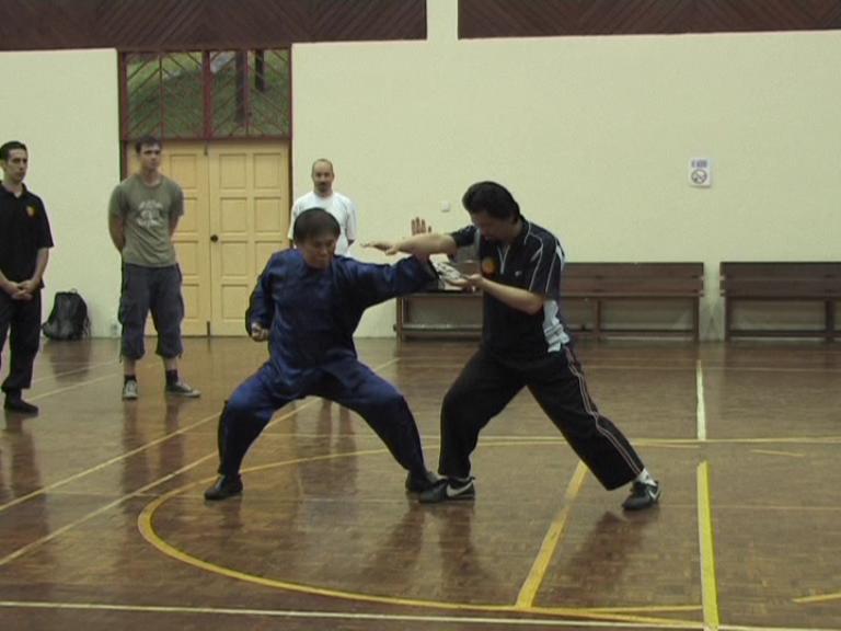 Shaolin Kung Fu