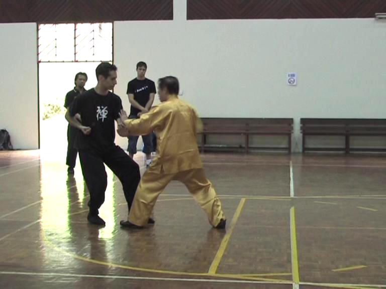 Shaolin Kungfu