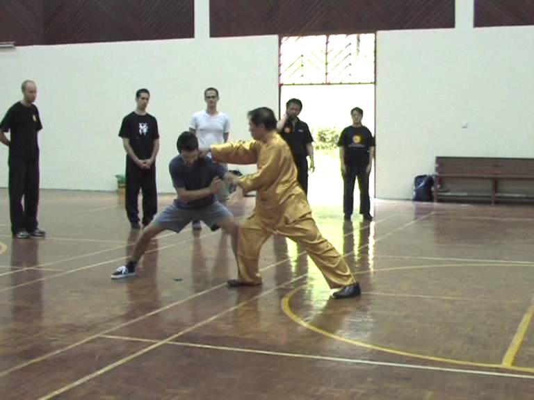 Shaolin Kungfu