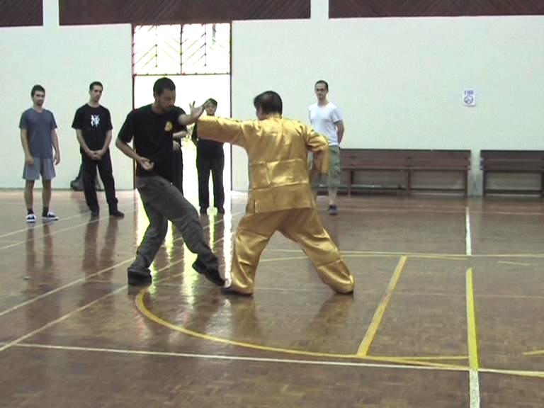 Shaolin Kungfu