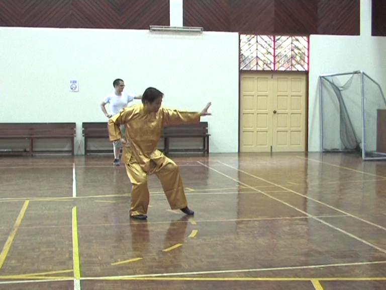 Shaolin Kungfu