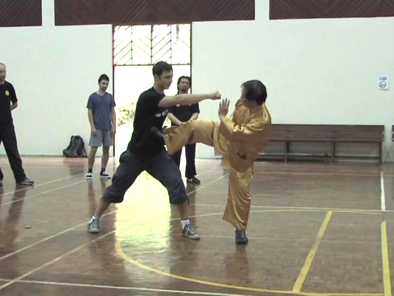 Shaolin Kungfu