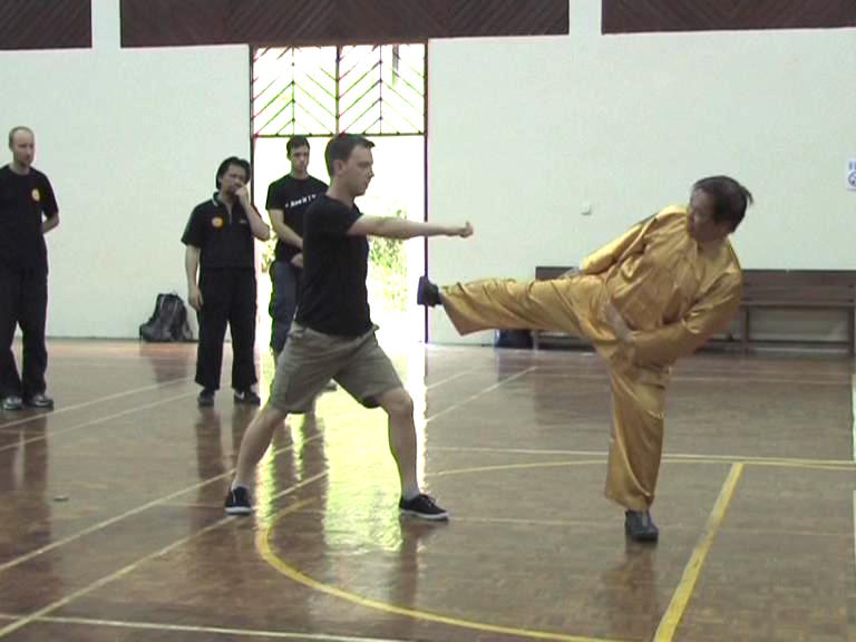 Shaolin Kungfu