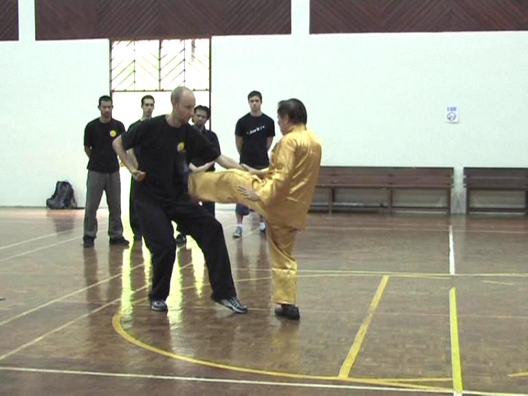 Shaolin Kungfu