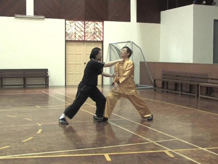 Shaolin Kungfu