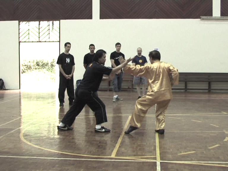 Shaolin Kungfu