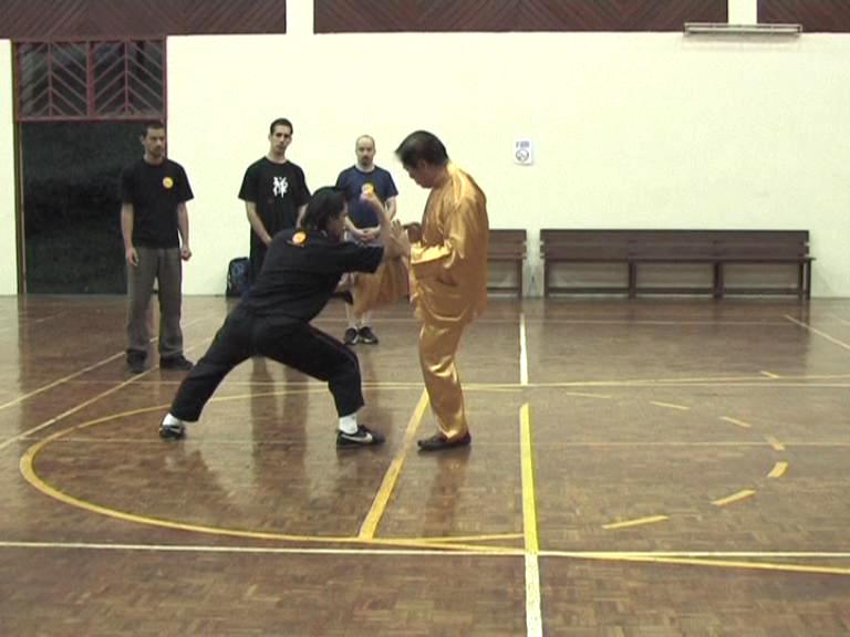 Shaolin Kungfu