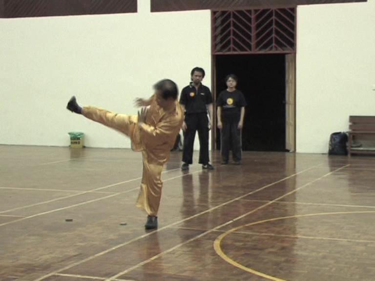 Shaolin Kungfu