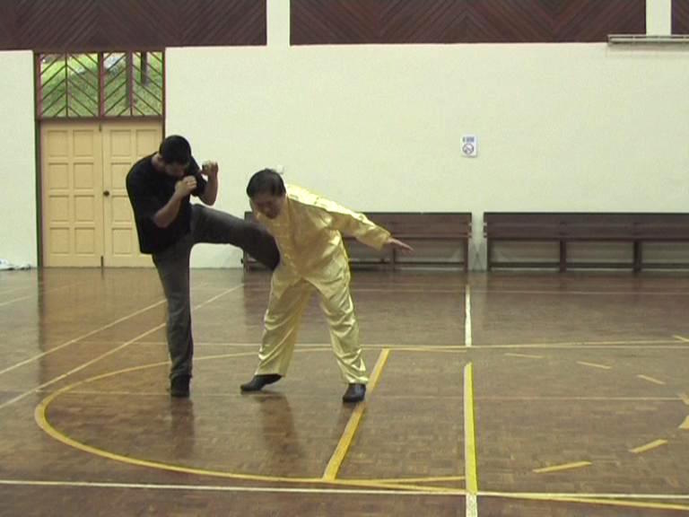 Shaolin Kung Fu