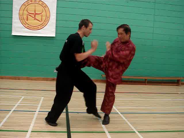 Shaolin Kung Fu