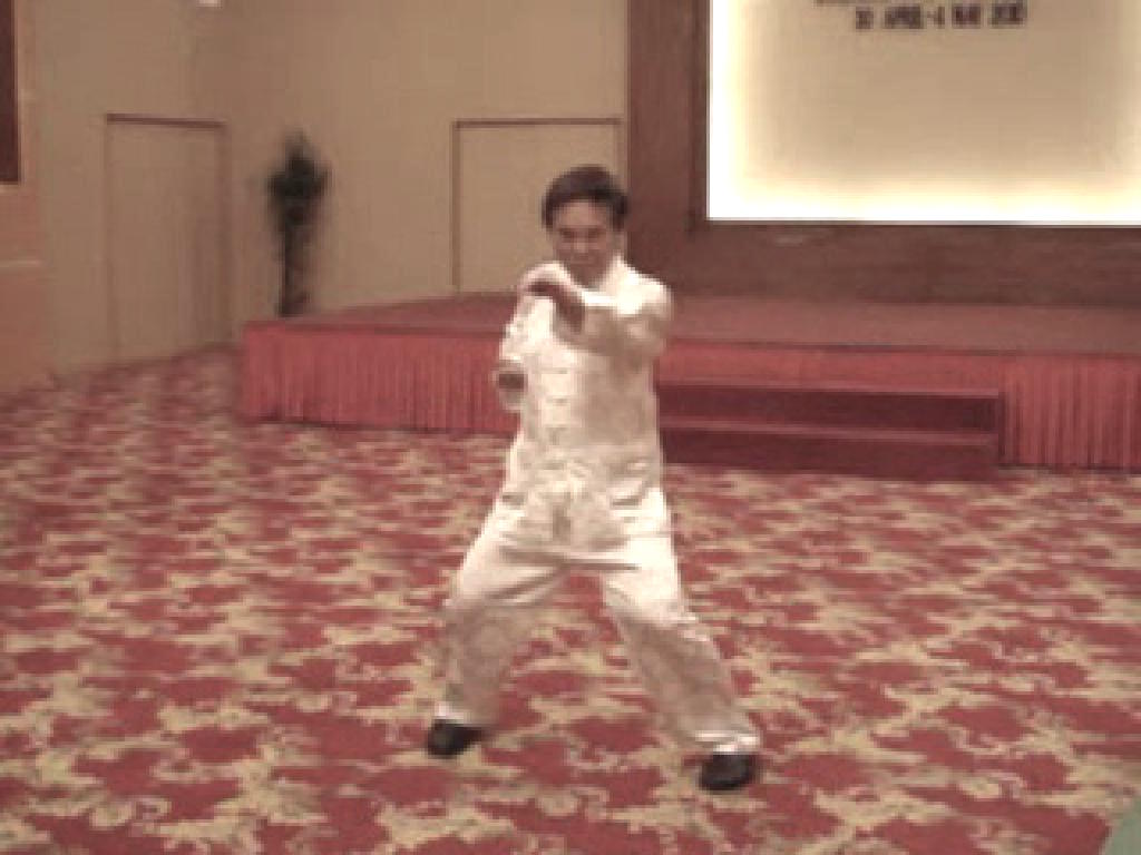 Wing Choon Kungfu