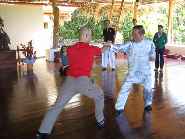 Wing Chun Kung Fu