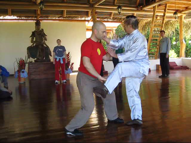 Wing Chun Kung Fu