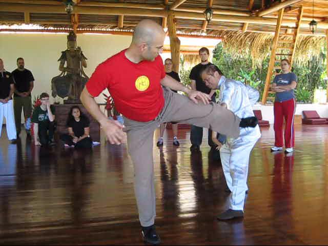 Wing Chun Kung Fu