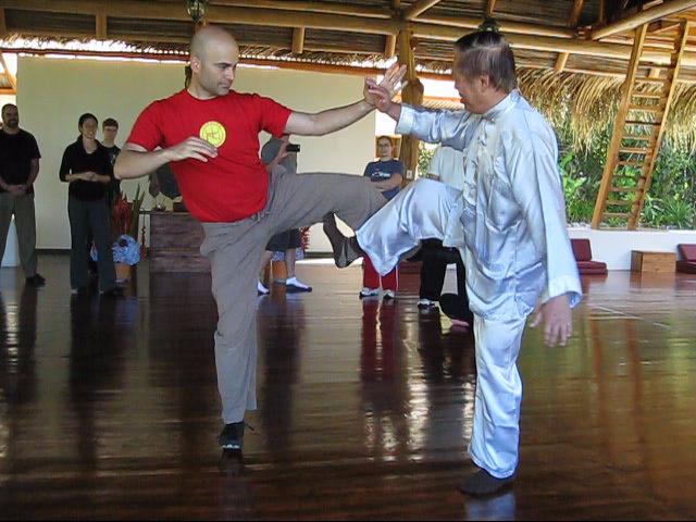 Wing Chun Kung Fu