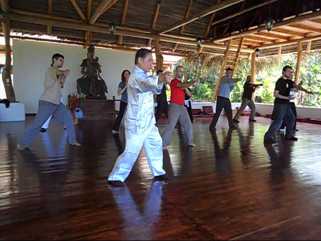 Wing Chun Kung Fu