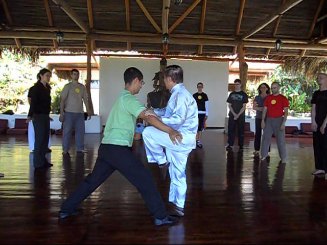 Wing Chun Kung Fu