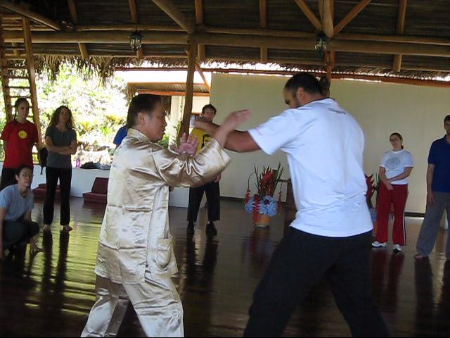 Wing Chun Kung Fu