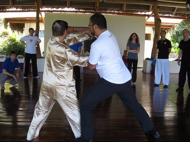 Wing Chun Kung Fu