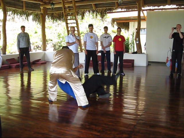 Wing Chun Kung Fu