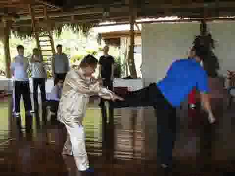 Wing Chun Kung Fu