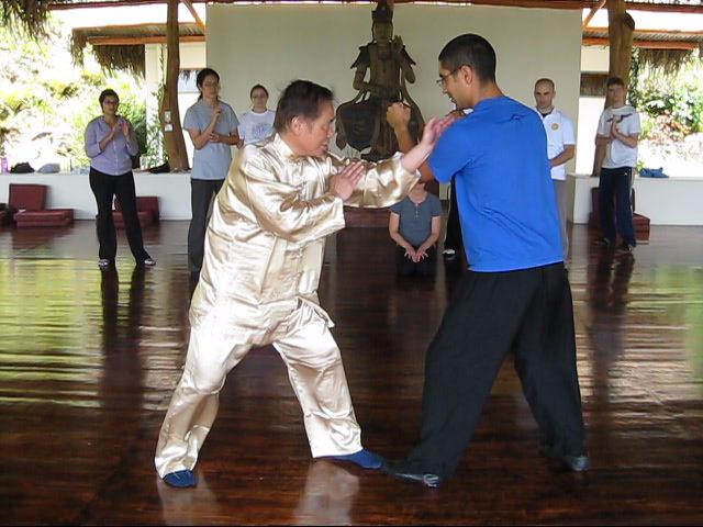 Wing Chun Kung Fu