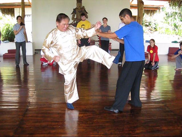 Wing Chun Kung Fu