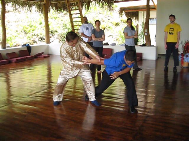 Wing Chun Kung Fu