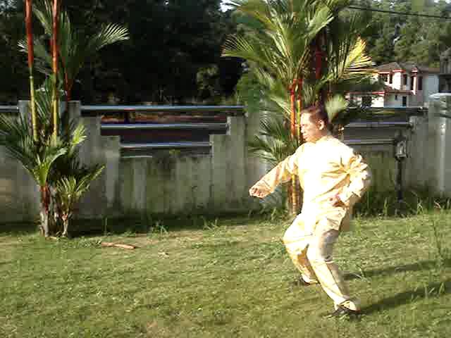 Shaolin Flower Set