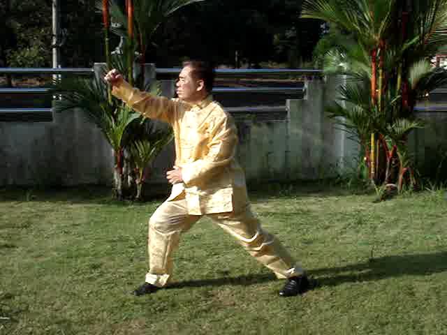 Shaolin Flower Set